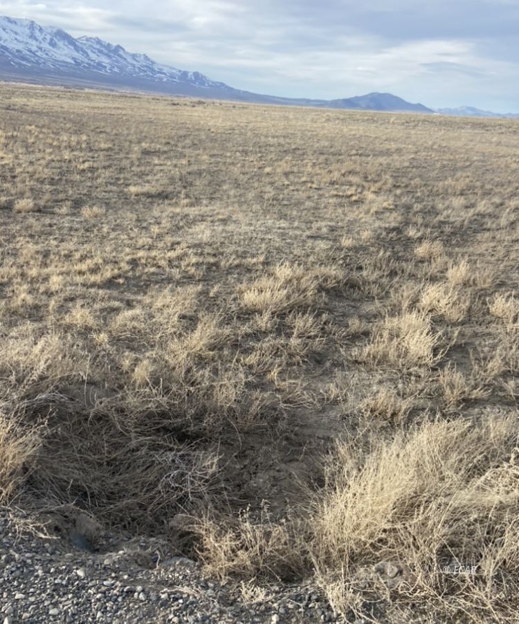 Clover Valley Wells, NV 89835 - Photo 16 of 20 Gallery Image 16