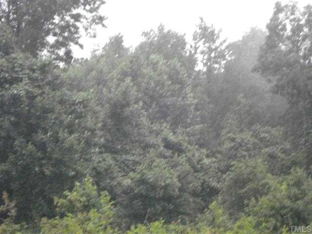 0 Horseshoe Road Creedmoor, NC 27522 - Photo 2 of 4 a view of forest