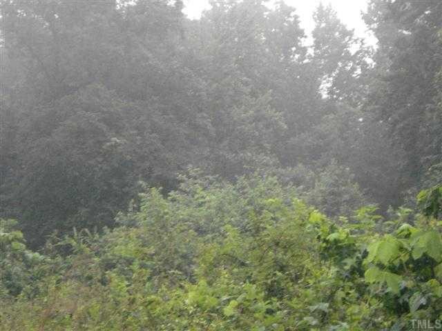 0 Horseshoe Road Creedmoor, NC 27522 - Photo 3 of 4 a close up of a tree