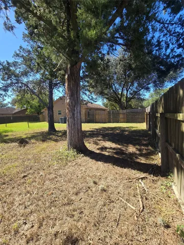 a view of yard with tree