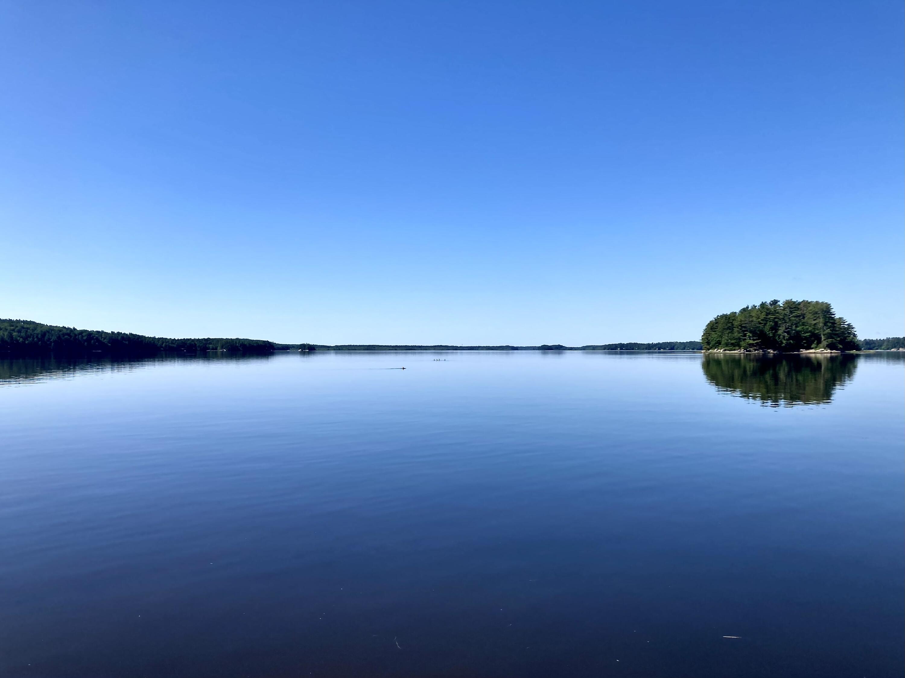 93 Bay Road Bowdoinham, ME 04008 - Photo 45 of 48 Merrymeeting Bay