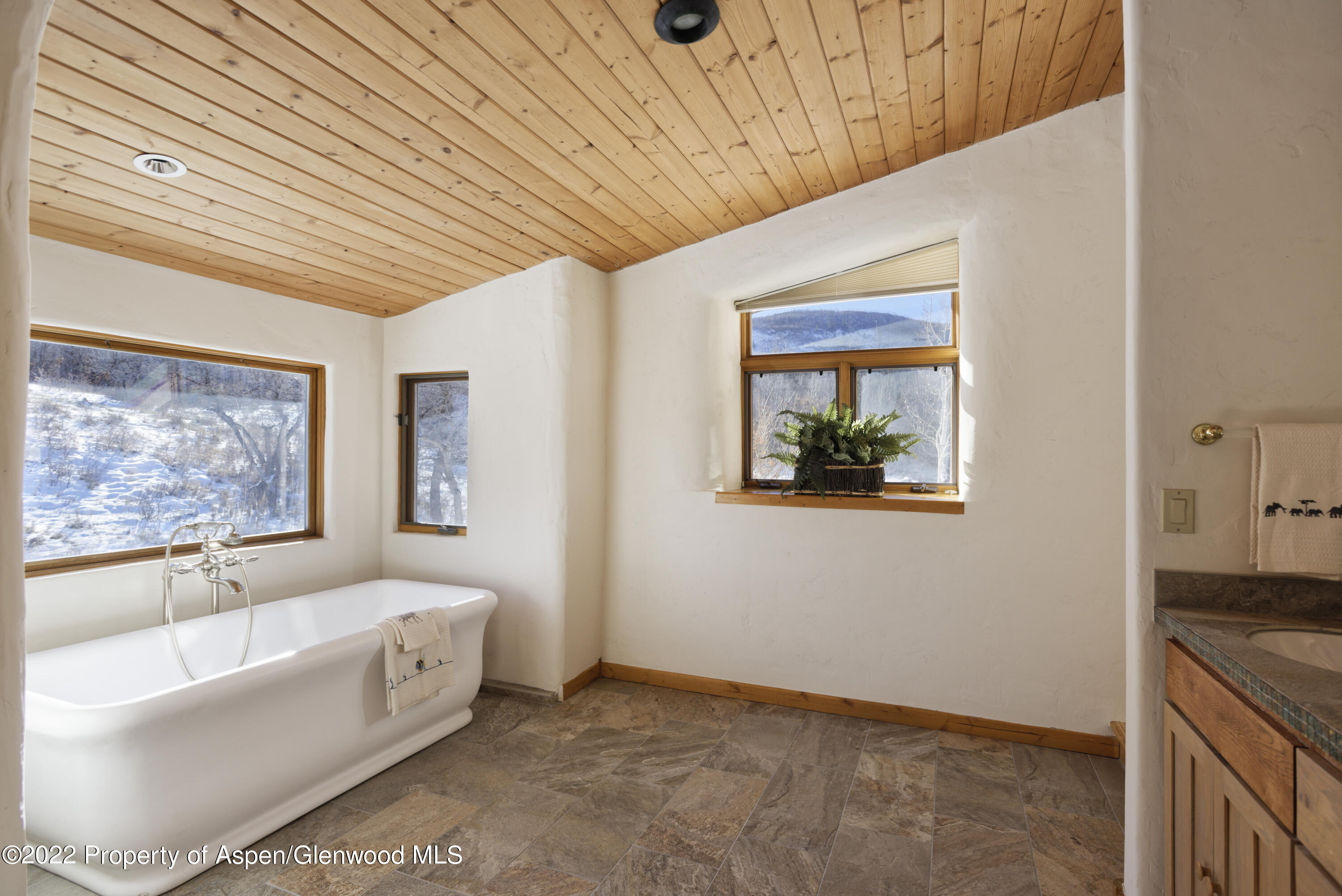 2651 Bear Ridge Road Basalt, CO 81621 - Photo 15 of 16 a bathroom with a bathtub and a window