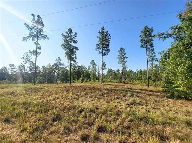 $24,500 | 0 Hwy 117 Highway, Natchitoches, LA 71457