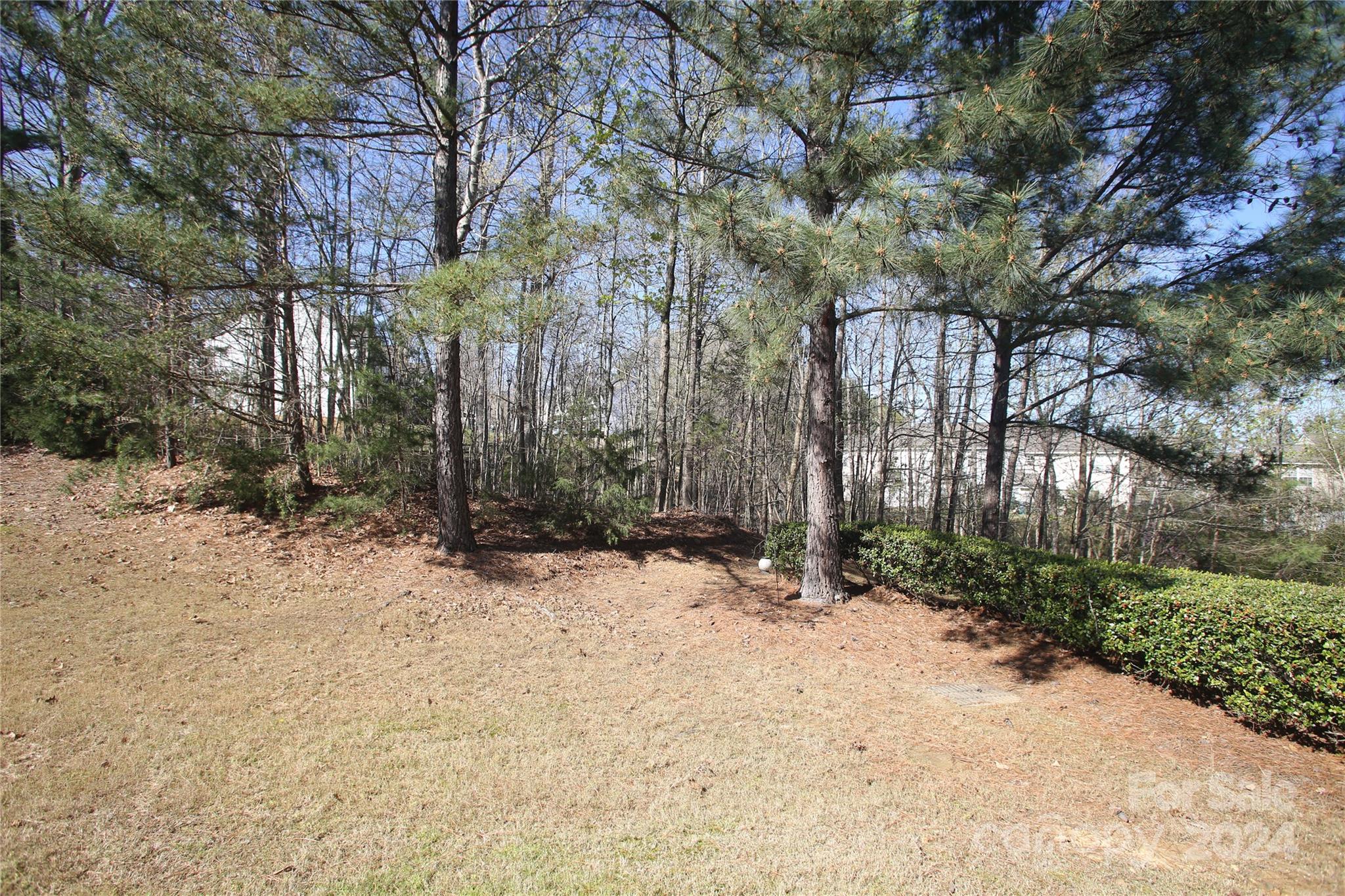 11330 Stone Trail Road Charlotte, NC 28213 - Photo 24 of 24 a view of a yard covered in snow