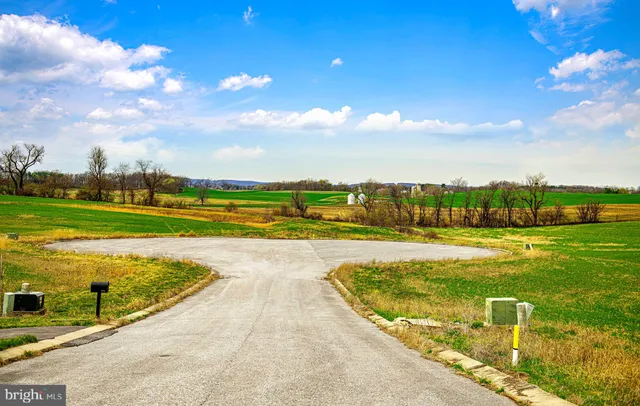 a view of a garden with lawn chairs