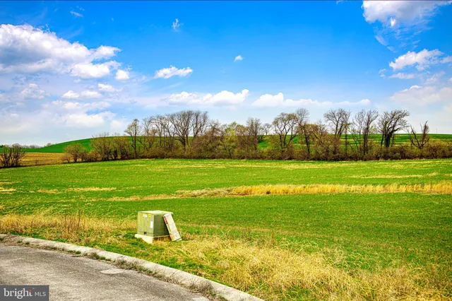 a view of yard with swimming pool and green space