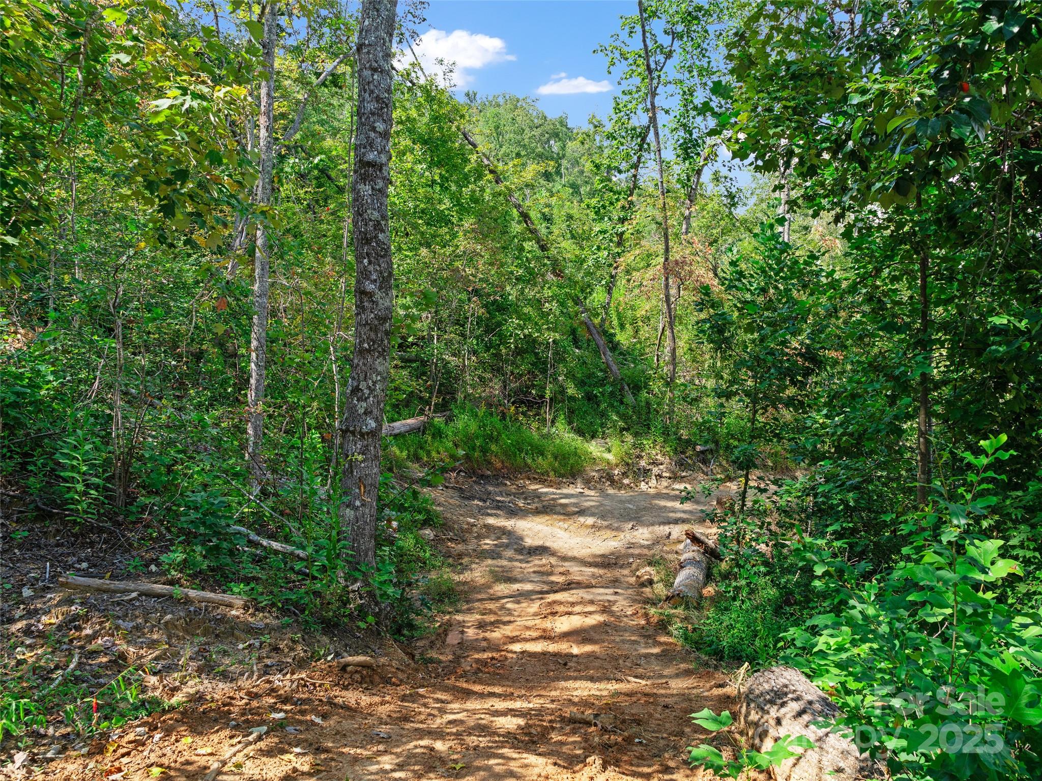 99999 Youngs Gap Road, Unit SOUTH LOT Fletcher, NC 28732 - Photo 14 of 32 a view of a forest with trees