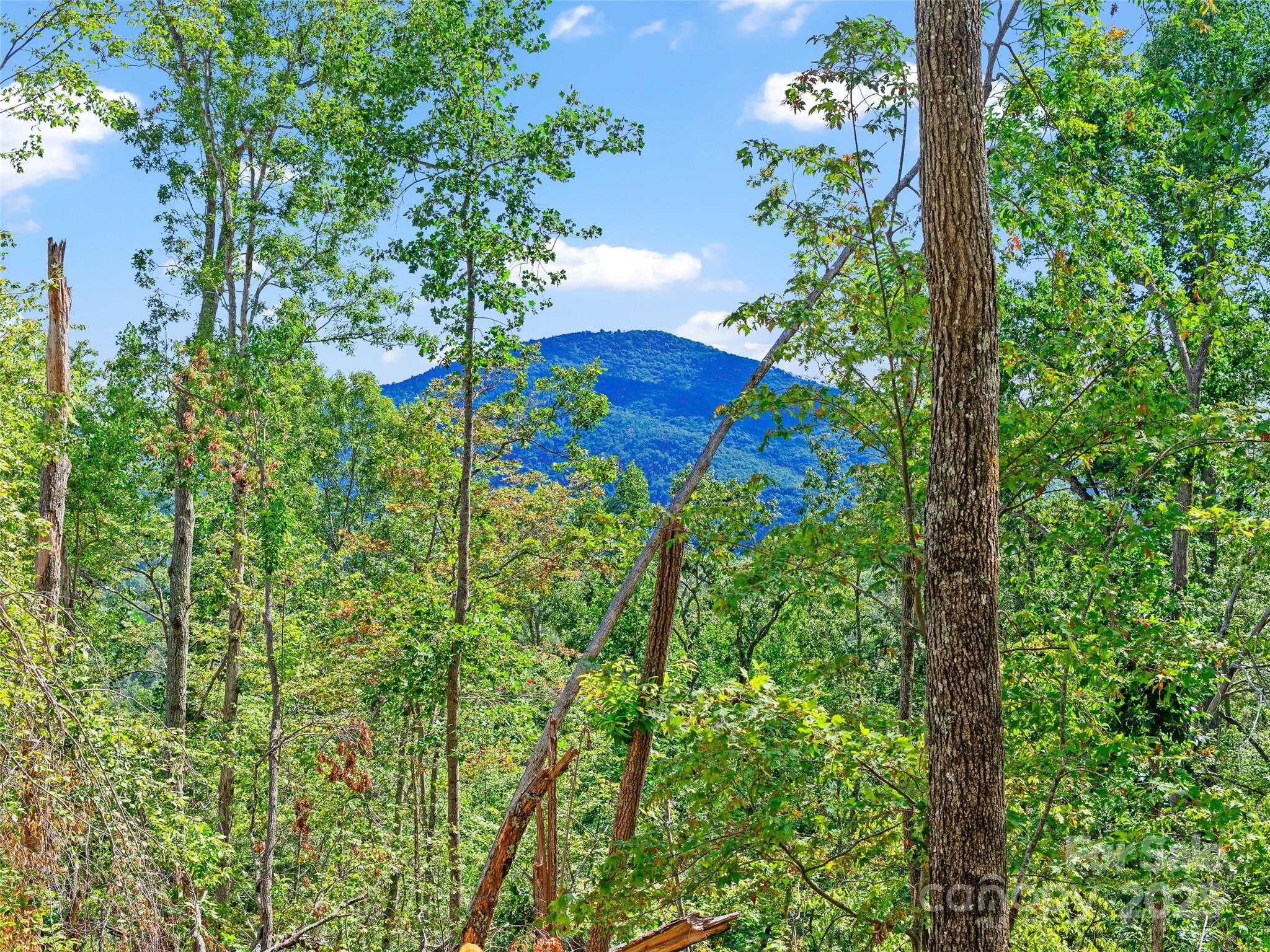99999 Youngs Gap Road, Unit SOUTH LOT Fletcher, NC 28732 - Photo 2 of 32 a backyard of a house with lots of green space