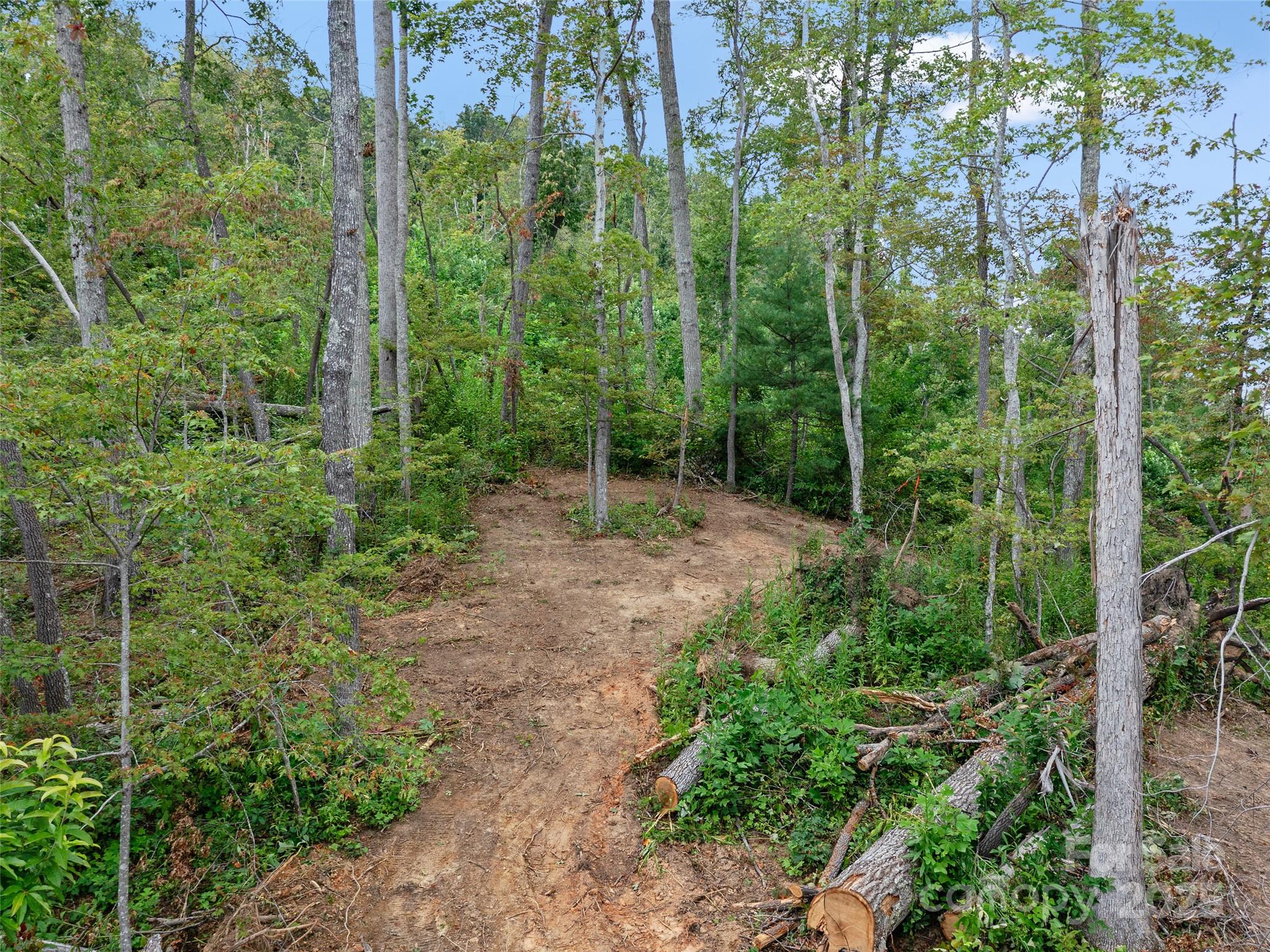 99999 Youngs Gap Road, Unit SOUTH LOT Fletcher, NC 28732 - Photo 21 of 32 a view of forest