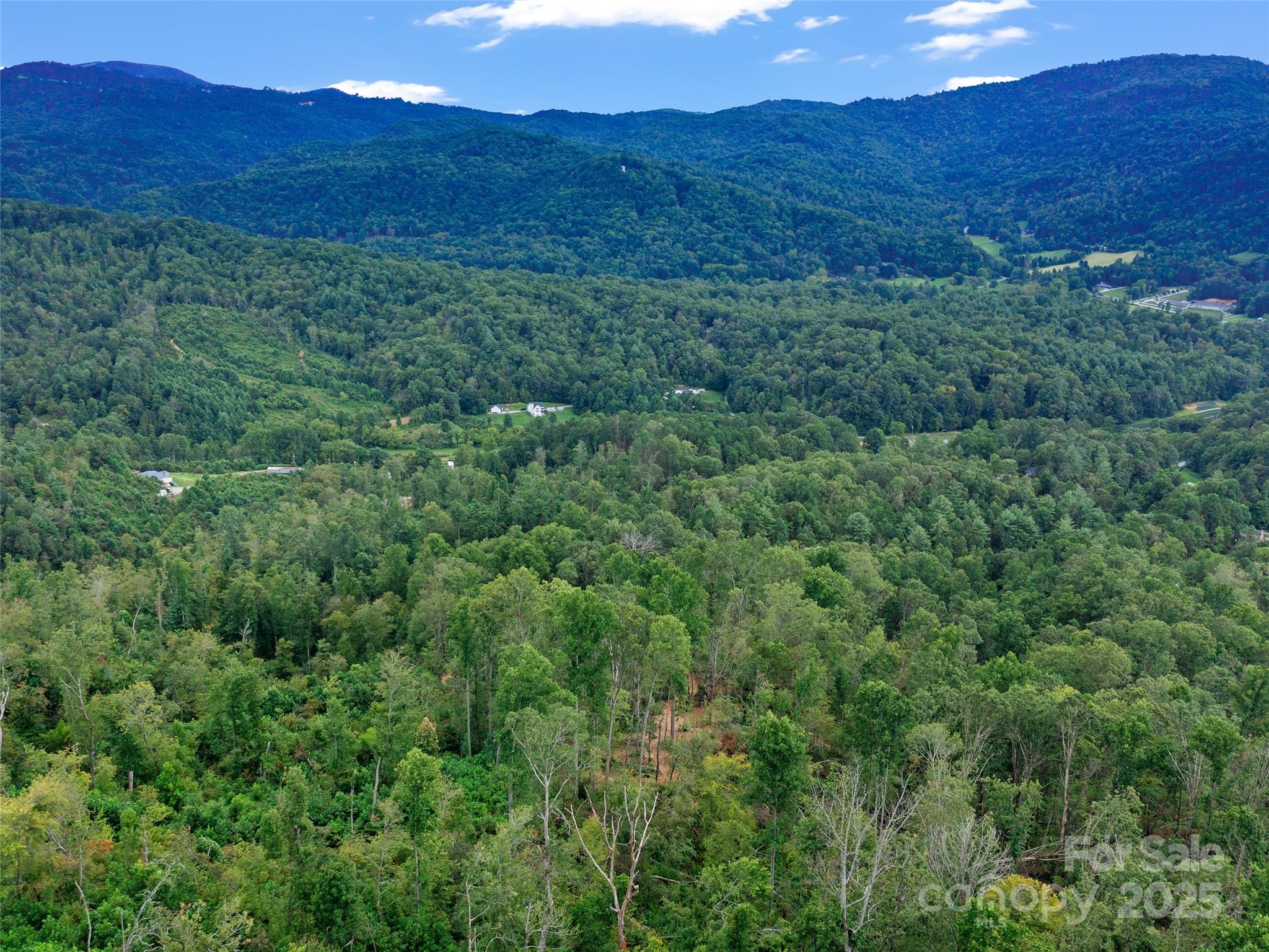 99999 Youngs Gap Road, Unit SOUTH LOT Fletcher, NC 28732 - Photo 27 of 32 a view of a lush green hillside and a houses