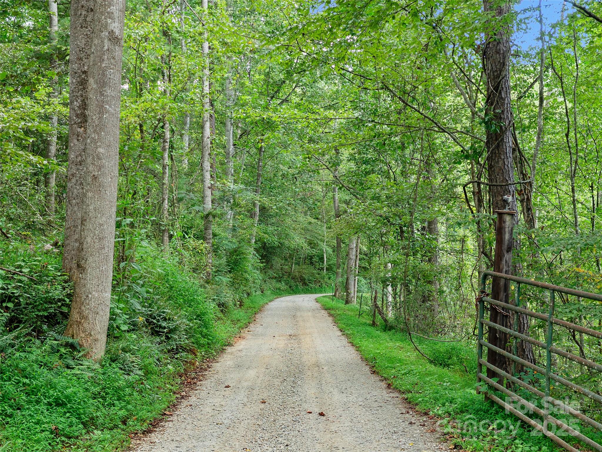 99999 Youngs Gap Road, Unit SOUTH LOT Fletcher, NC 28732 - Photo 31 of 32 a view of a garden with a pathway