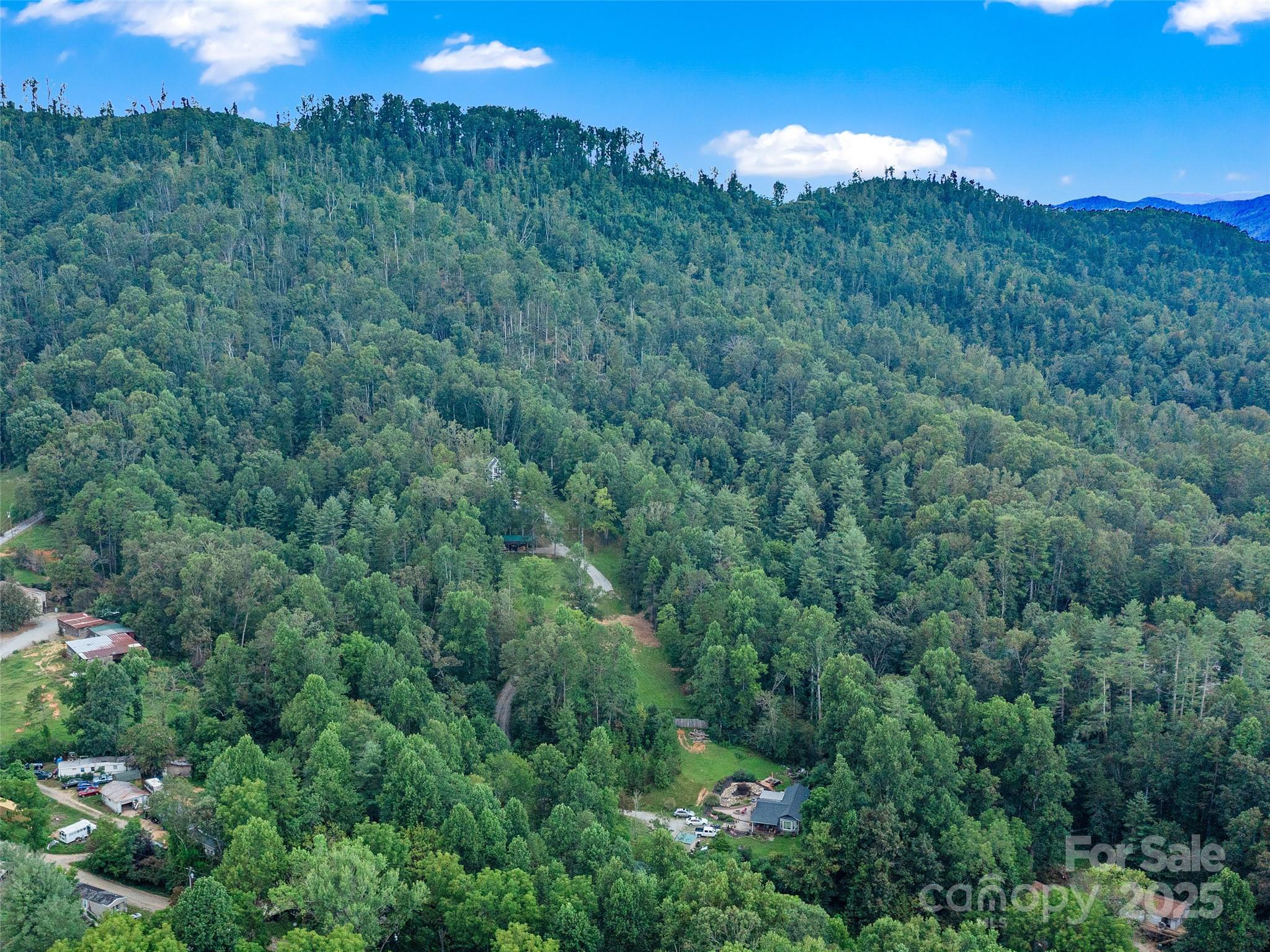99999 Youngs Gap Road, Unit SOUTH LOT Fletcher, NC 28732 - Photo 32 of 32 a view of a lush green forest with a street