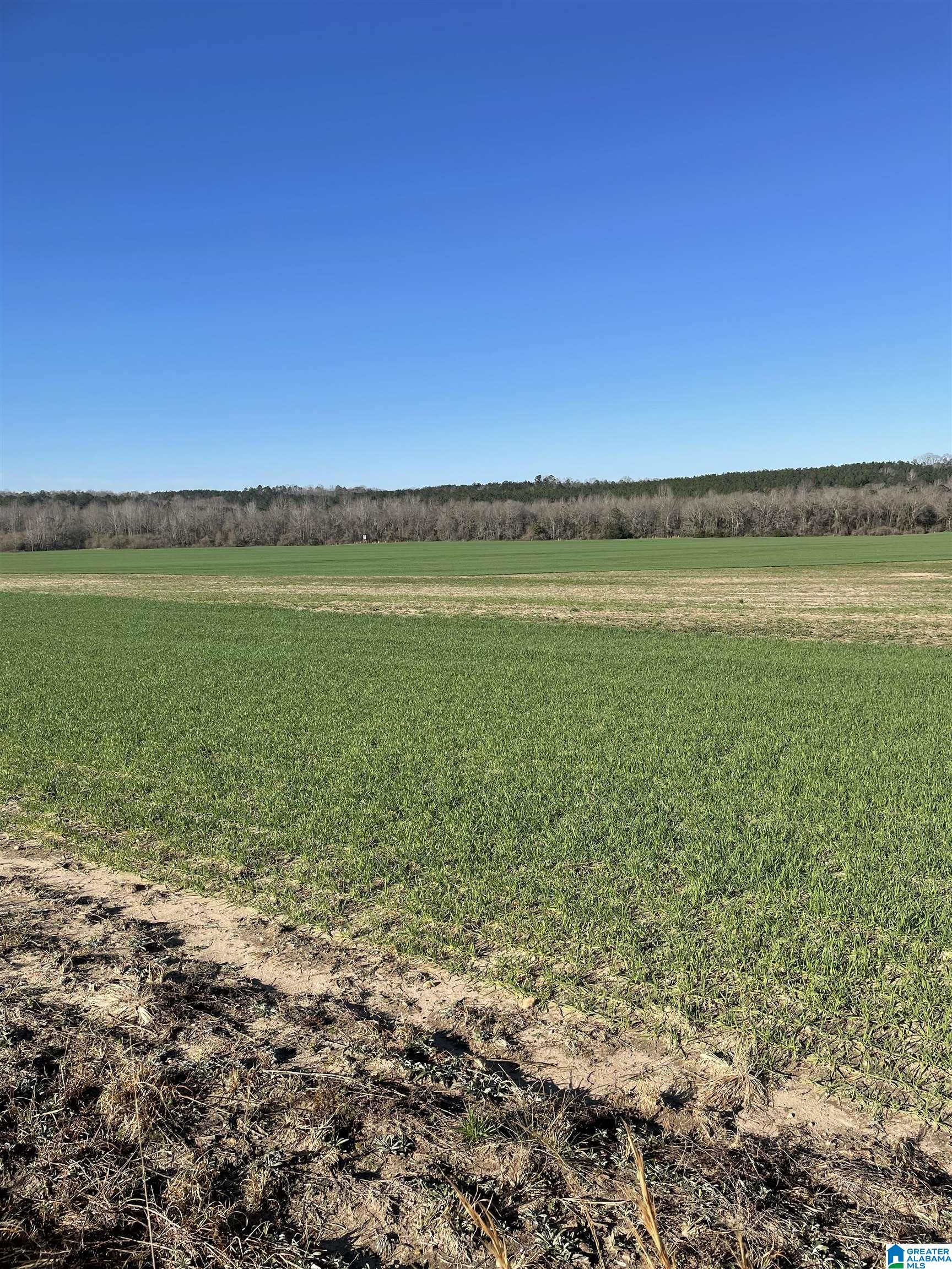 123 County Road, Unit 1 Marbury, AL 36051 - Photo 9 of 9