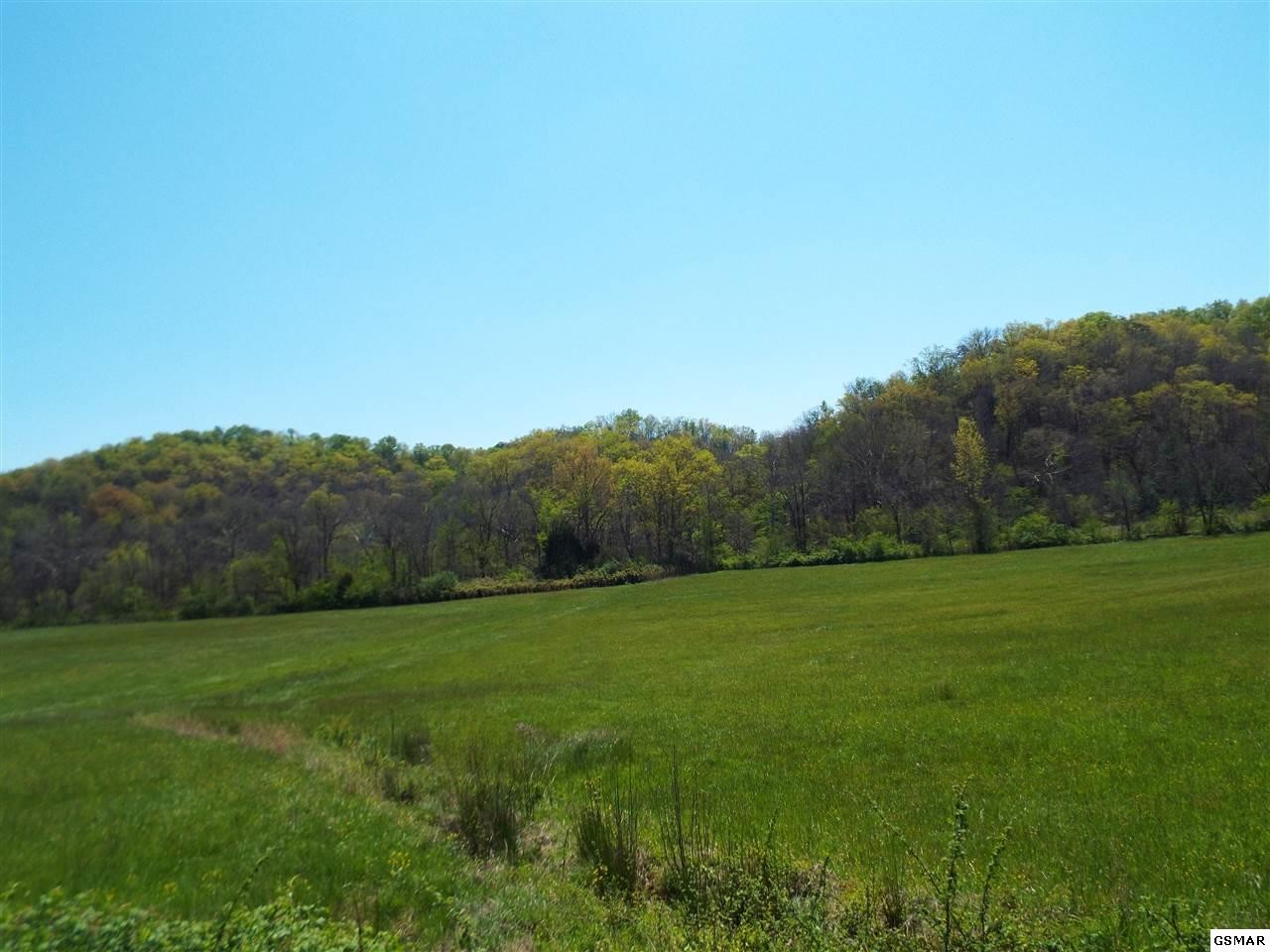 3 Fowler Grove Road Newport, TN 37821 - Photo 6 of 8 Gallery Image 6