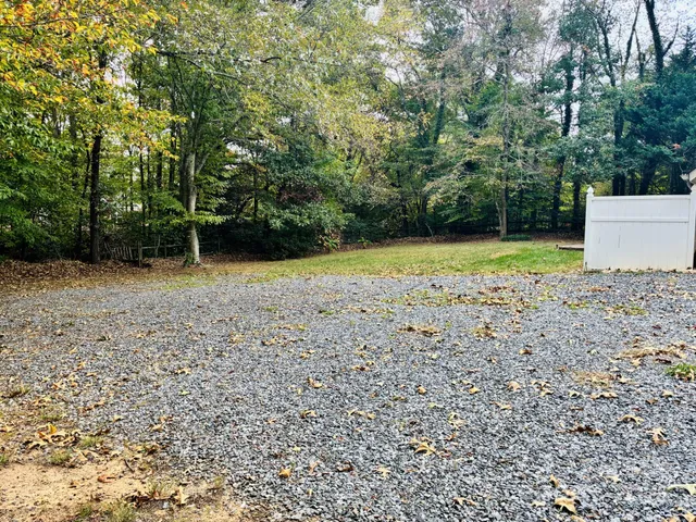a view of a yard with trees