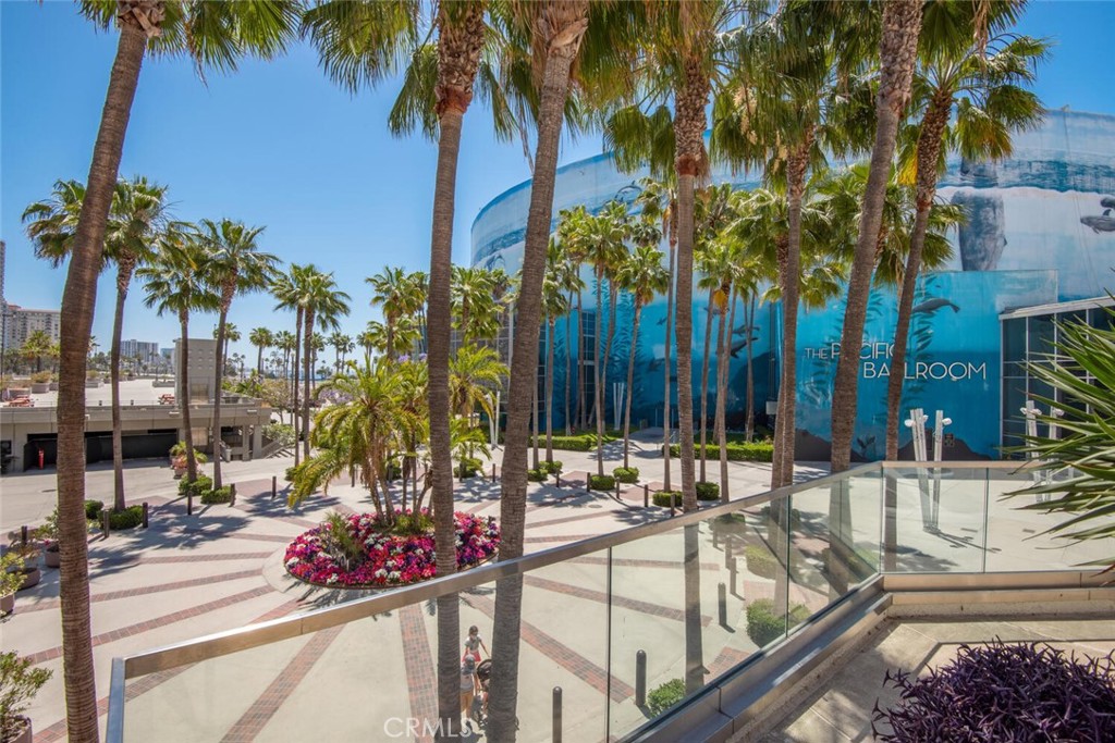 3819 North Studebaker Road Long Beach, CA 90808 - Photo 59 of 62 Long Beach Arena hosts a wide range of events!