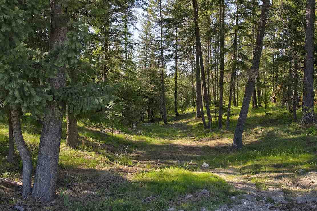 1421 Thompson Road Elk, WA 99009 - Photo 18 of 20 Gallery Image 18