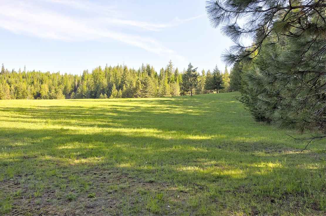 1421 Thompson Road Elk, WA 99009 - Photo 19 of 20 Gallery Image 19