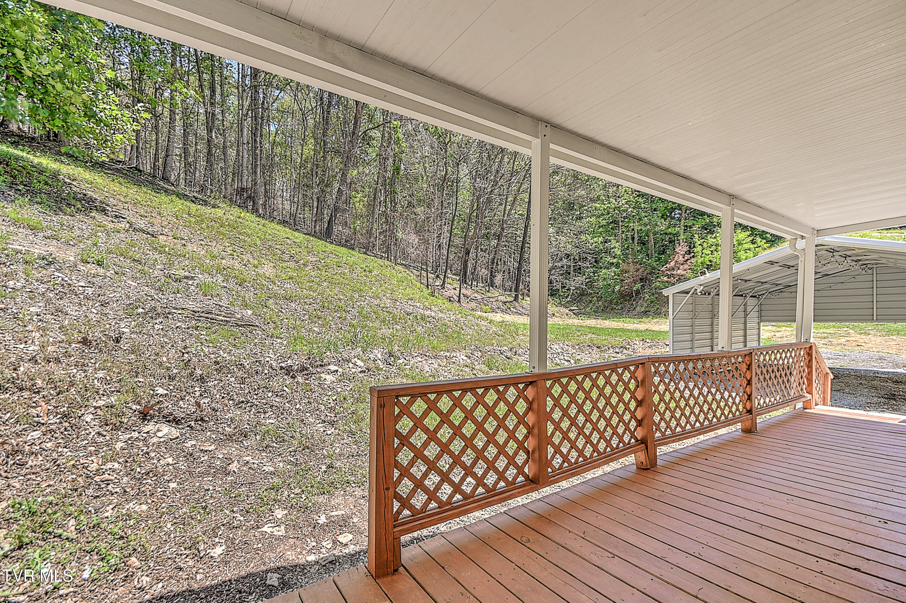 384 Johnson Hollow Road Blountville, TN 37617 - Photo 33 of 42 384 Johnson Hollow GUnit-25