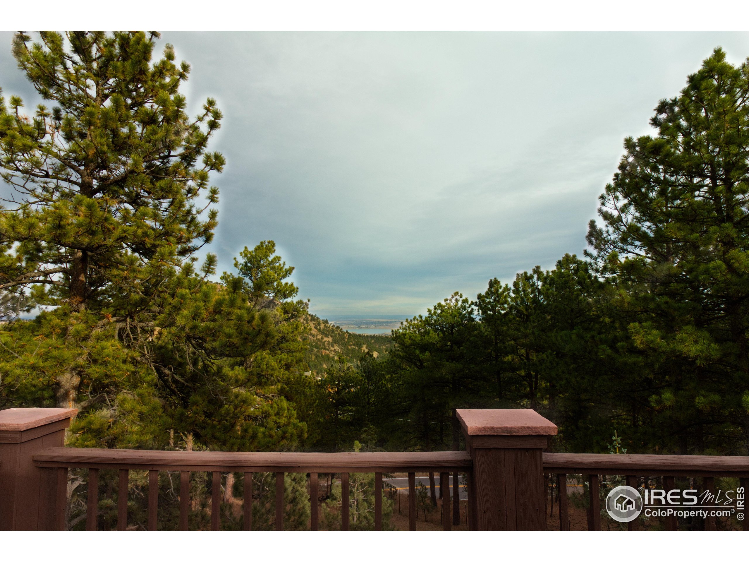76 Pine Tree Lane Boulder, CO 80304 - Photo 44 of 49 a view of a yard