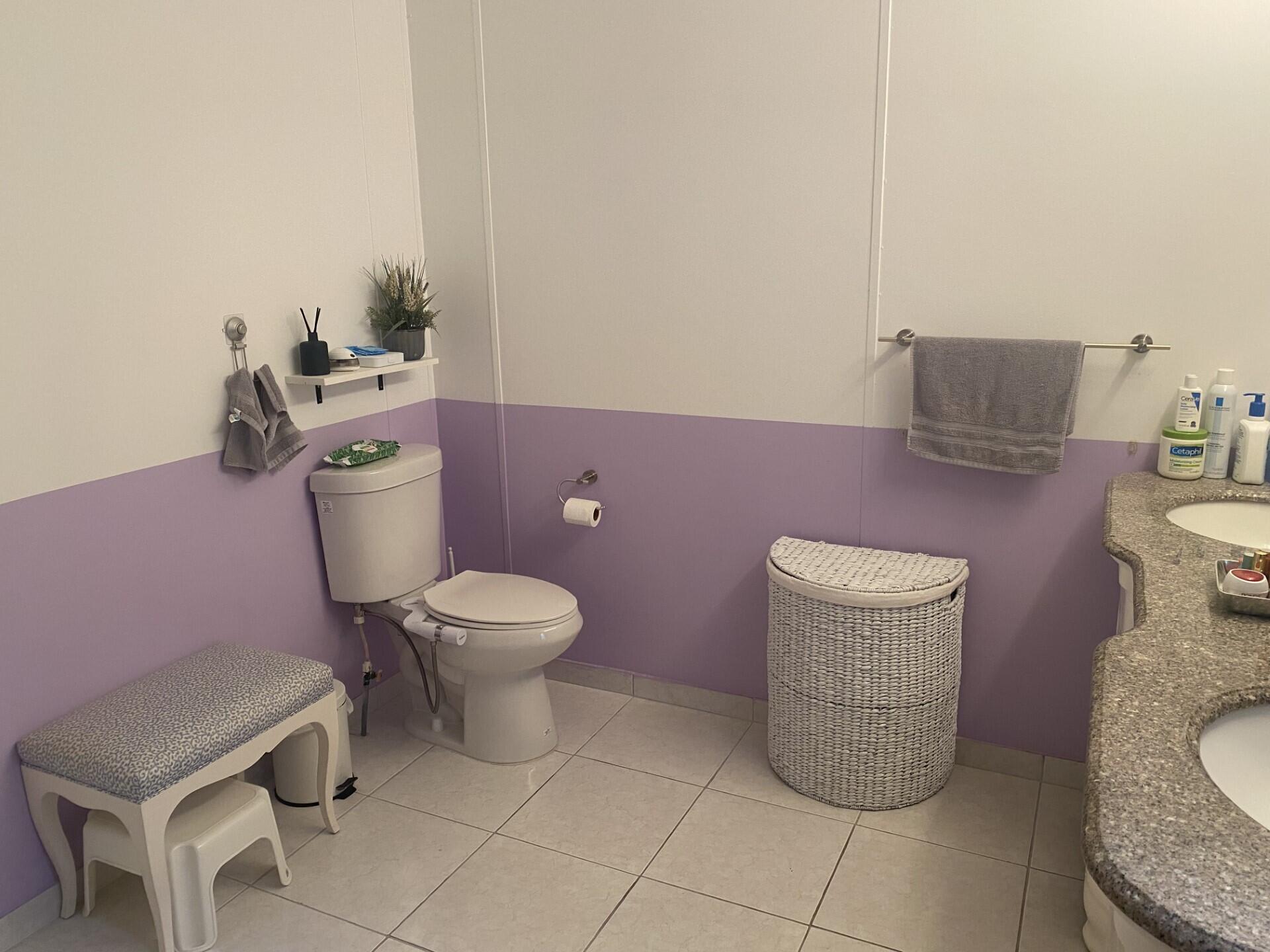 1531 Drexel Road West Palm Beach, FL 33417 - Photo 20 of 35 a bathroom with a toilet a sink and a mirror