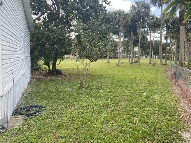 a view of a tree in a yard