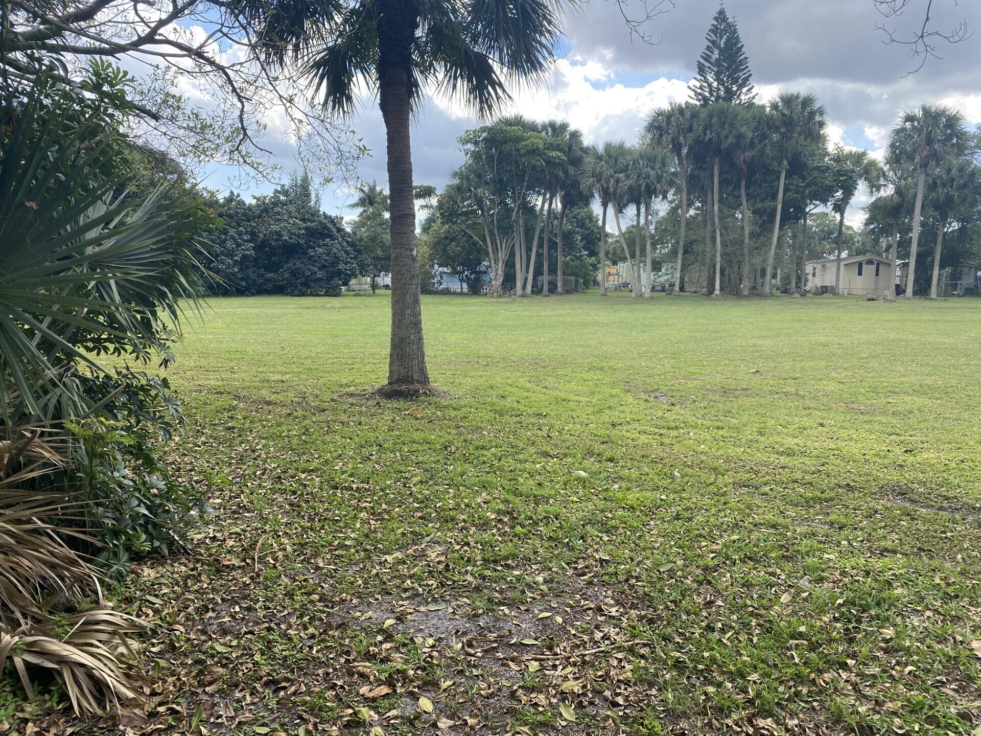 1531 Drexel Road West Palm Beach, FL 33417 - Photo 34 of 35 a huge green field with lots of bushes