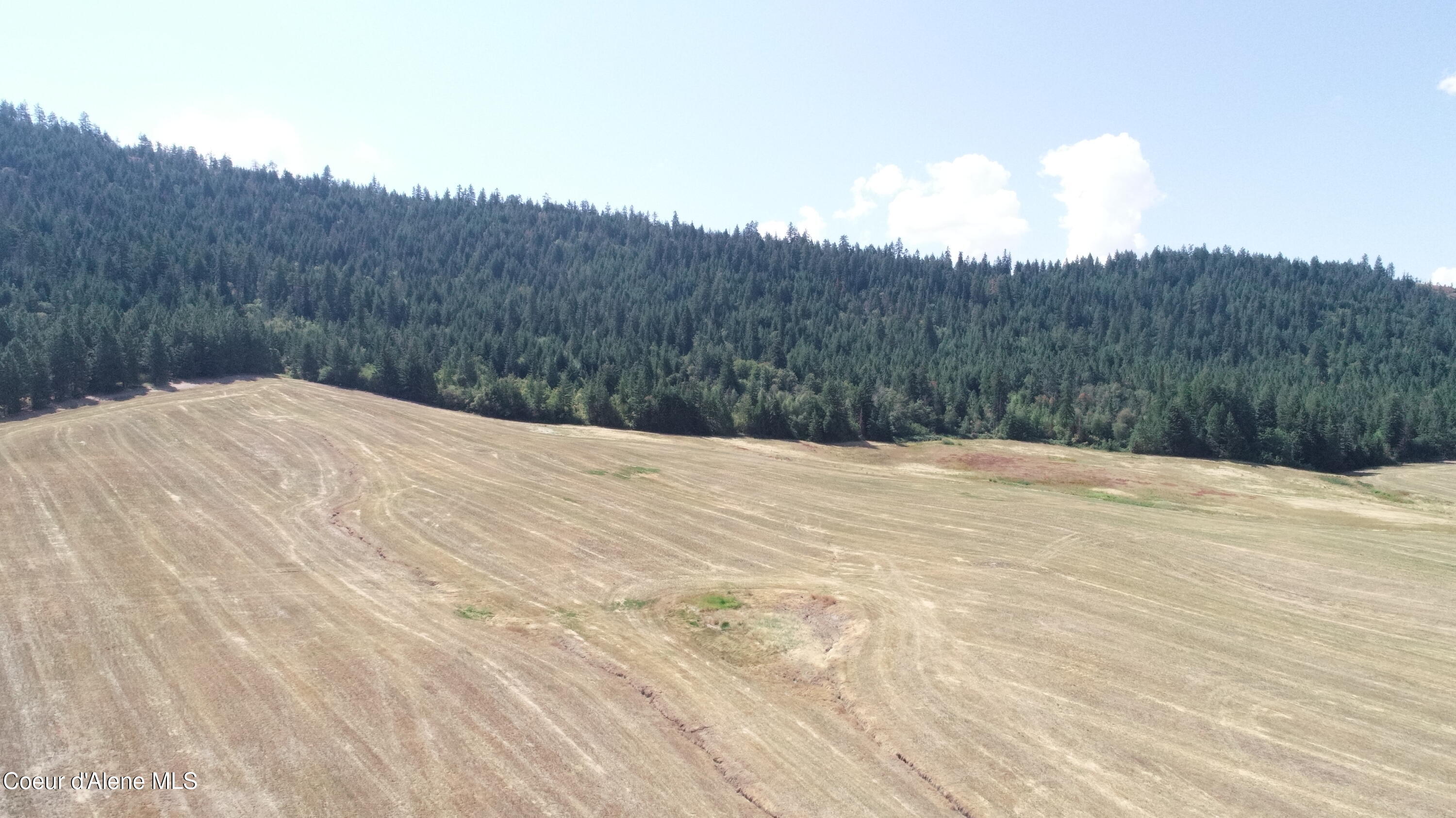 Lot 4 Pebblestone Drive Plummer, ID 83851 - Photo 12 of 14 12