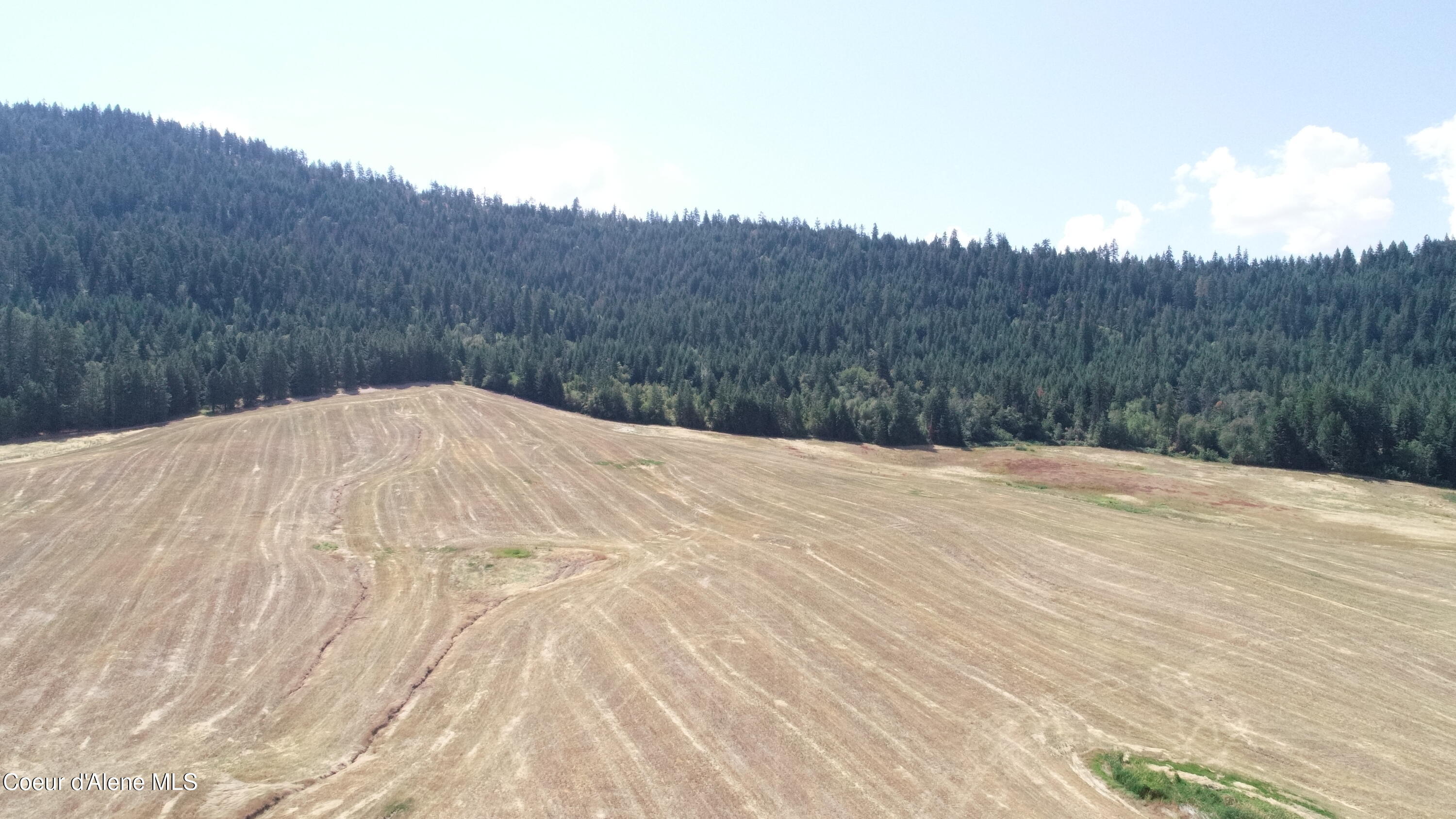 Lot 4 Pebblestone Drive Plummer, ID 83851 - Photo 14 of 14 14