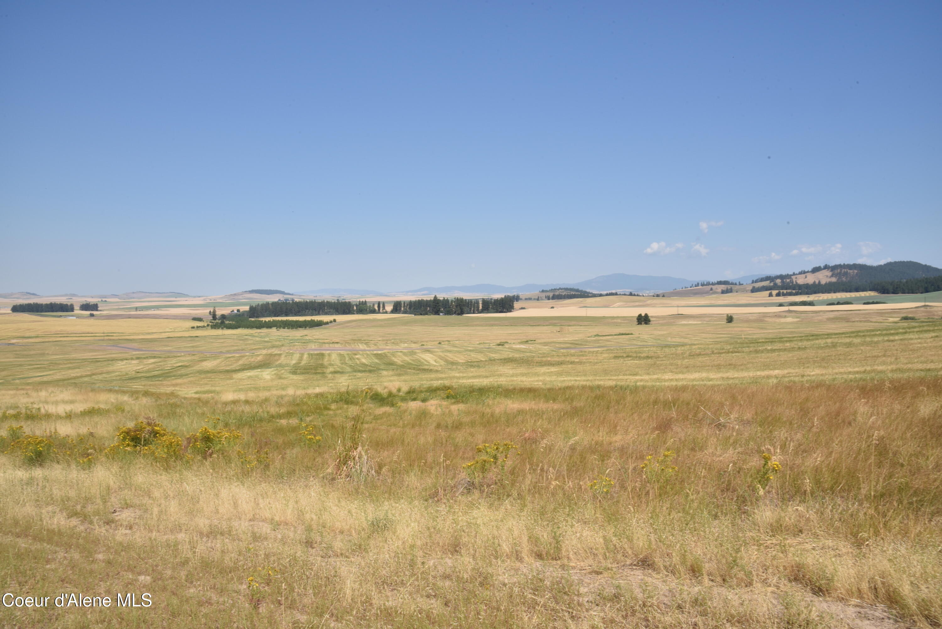 Lot 4 Pebblestone Drive Plummer, ID 83851 - Photo 4 of 14 4