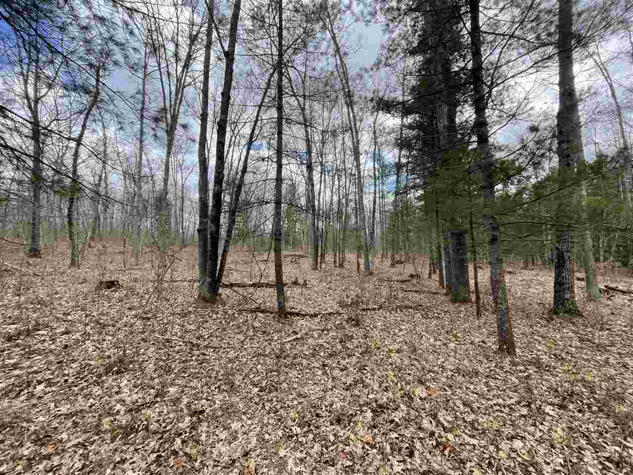 20 East A E Decker Rd Branch Branch, MI 49402 - Photo 7 of 31