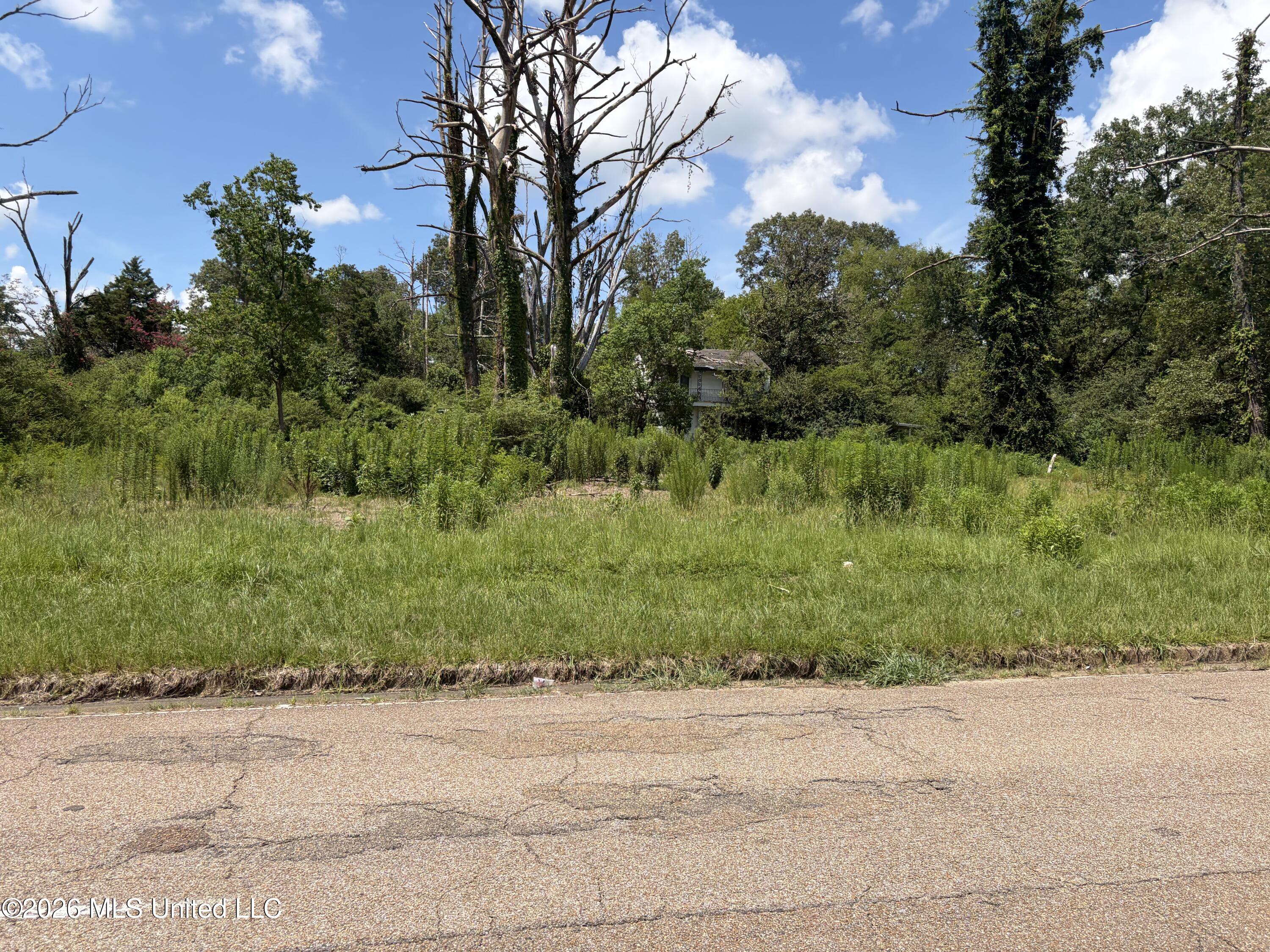 1648 West McDowell Road Jackson, MS 39204 - Photo 2 of 3 IMG_2245