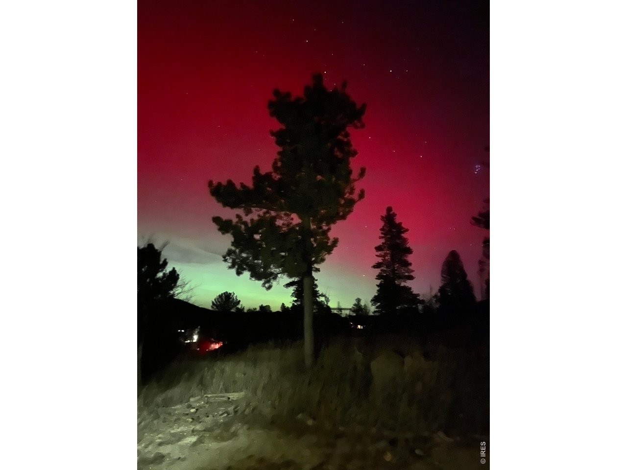 141 Tami Road Red Feather Lakes, CO 80545 - Photo 28 of 45 Northern lights!