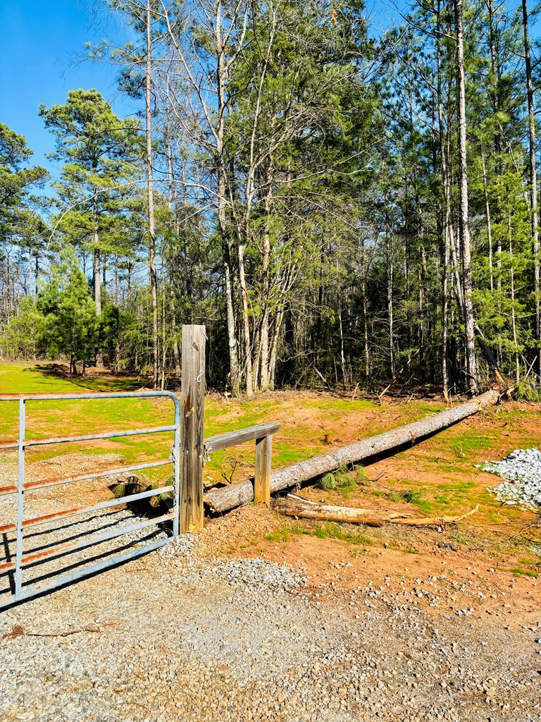 0 Latimer Boat Ramp Road Calhoun Falls, SC 29628 - Photo 3 of 19 Gallery Image 3