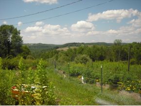 10508 State Rte 3004 Springville, PA 18844 - Photo 4 of 6