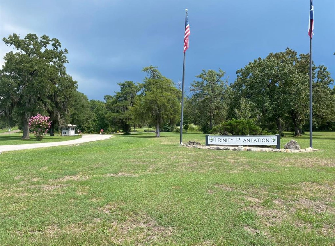 Lot 5 Thornton Street Trinity, TX 75862 - Photo 4 of 6
