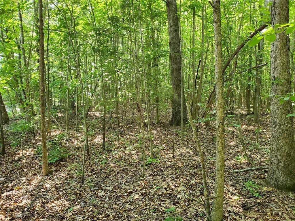 High Point Road Crewe, VA 23930 - Photo 2 of 5 Gallery Image 2