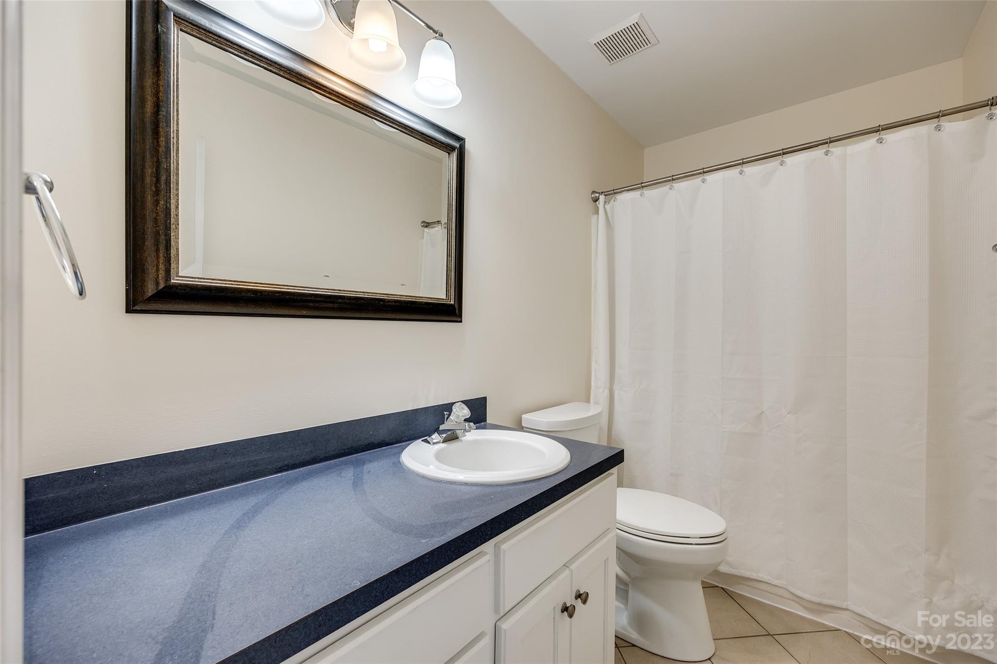 573 Strathclyde Way Rock Hill, SC 29730 - Photo 18 of 21 a bathroom with a sink vanity mirror and toilet