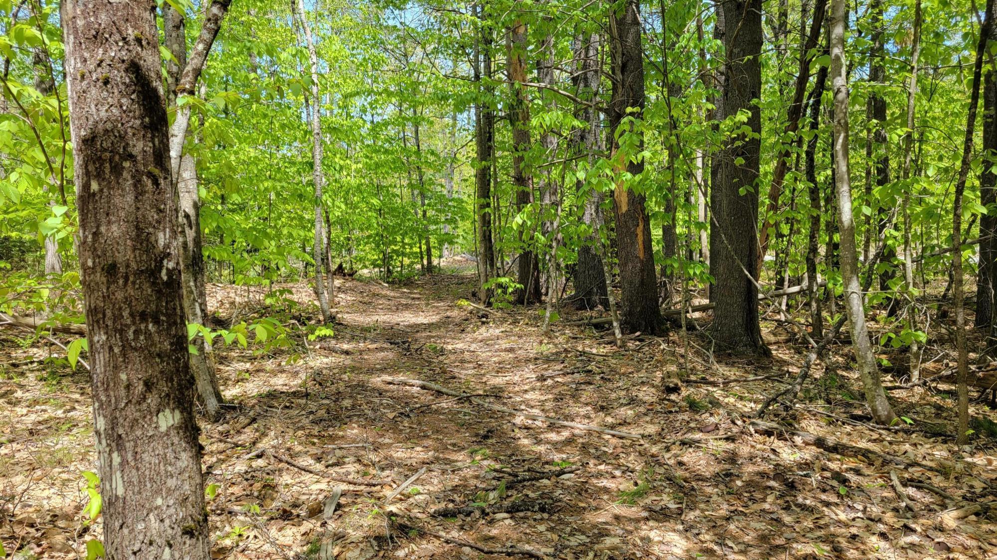 545 Naples Road Harrison, ME 04040 - Photo 9 of 25 20230518_112254
