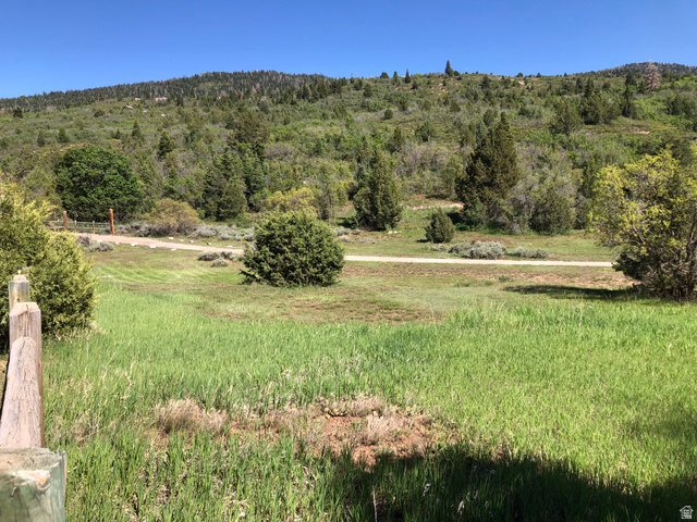 149 Meadow Road, Unit 149 Mount Pleasant, UT 84647 - Photo 7 of 16 Mountain view with a forest