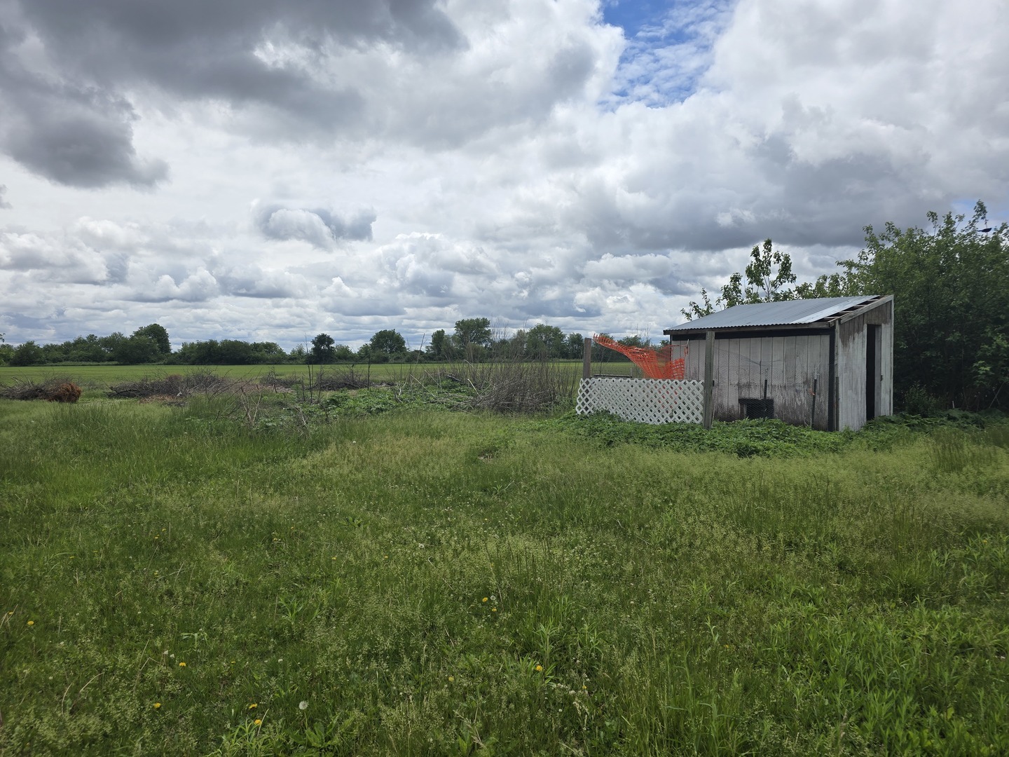 1350 North 2950 East Road Le Roy, IL 61752 - Photo 13 of 13