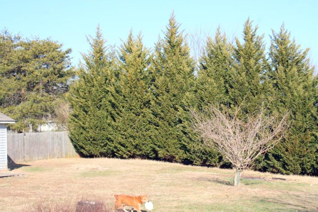 649 Patterson Road Walland, TN 37886 - Photo 22 of 27 77