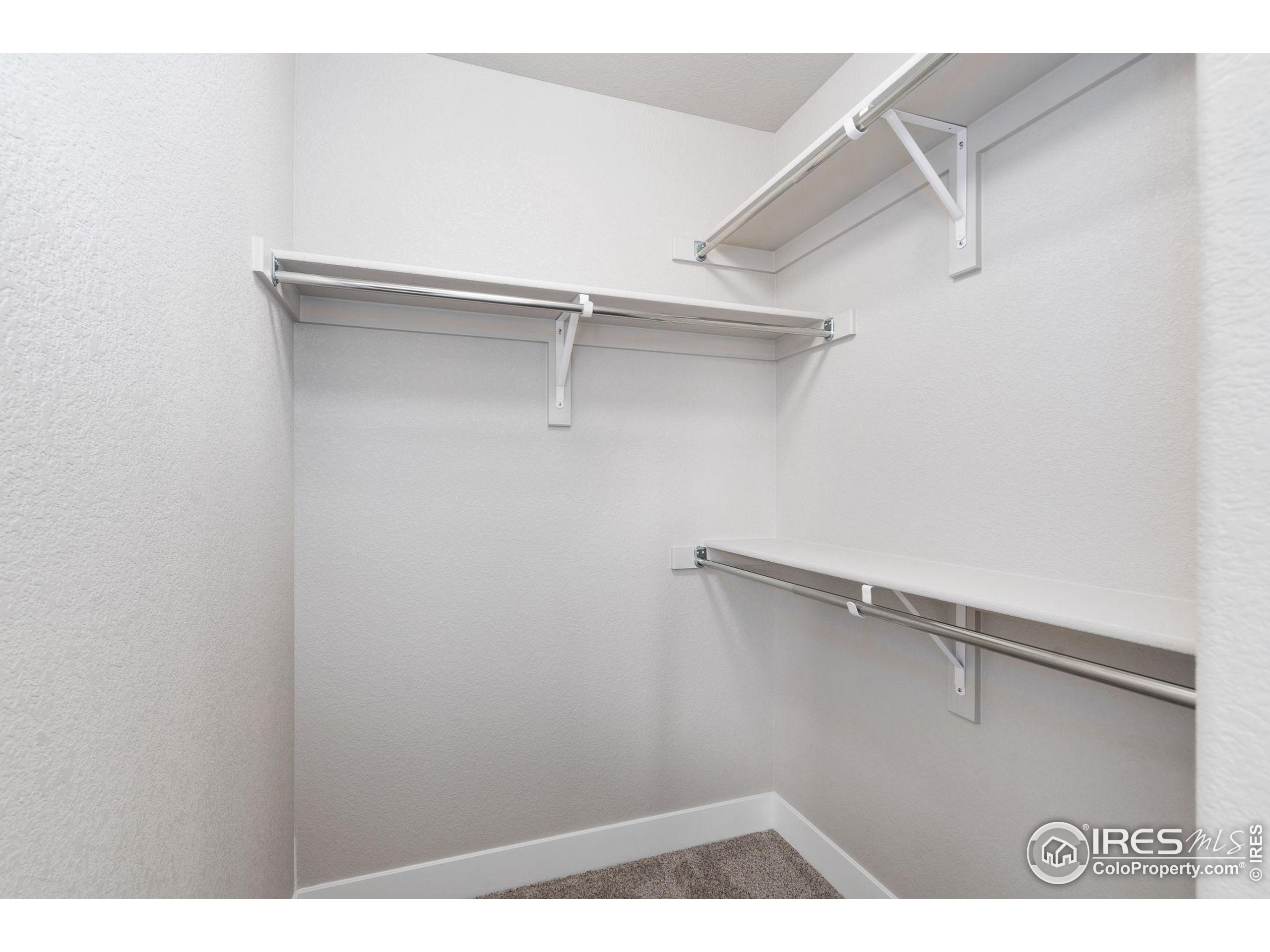 7186 Feather Reed Drive Wellington, CO 80549 - Photo 30 of 40