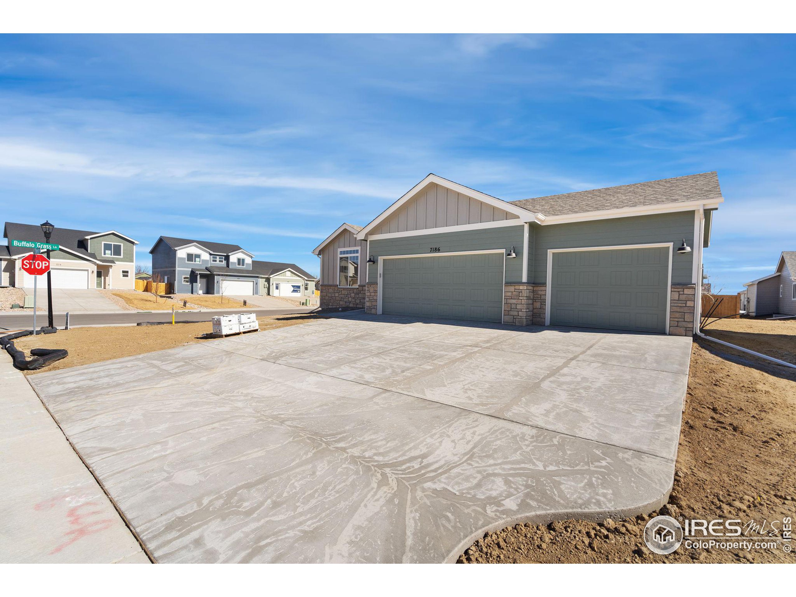 7186 Feather Reed Drive Wellington, CO 80549 - Photo 4 of 40