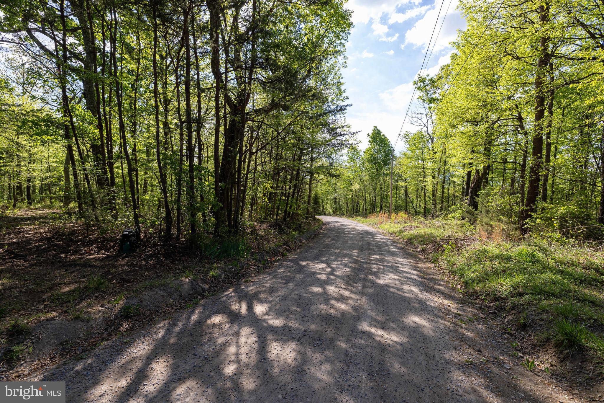 H49 Cross Creek Road Luray, VA 22835 - Photo 30 of 46 a view of a forest with trees