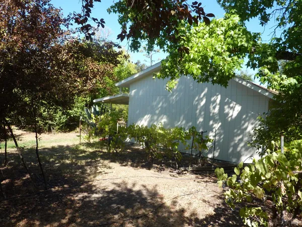 a view of backyard with cabin