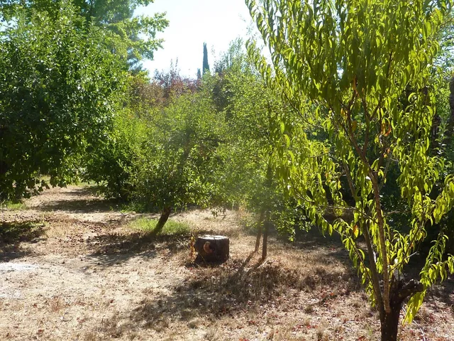 a view of a backyard with a tub