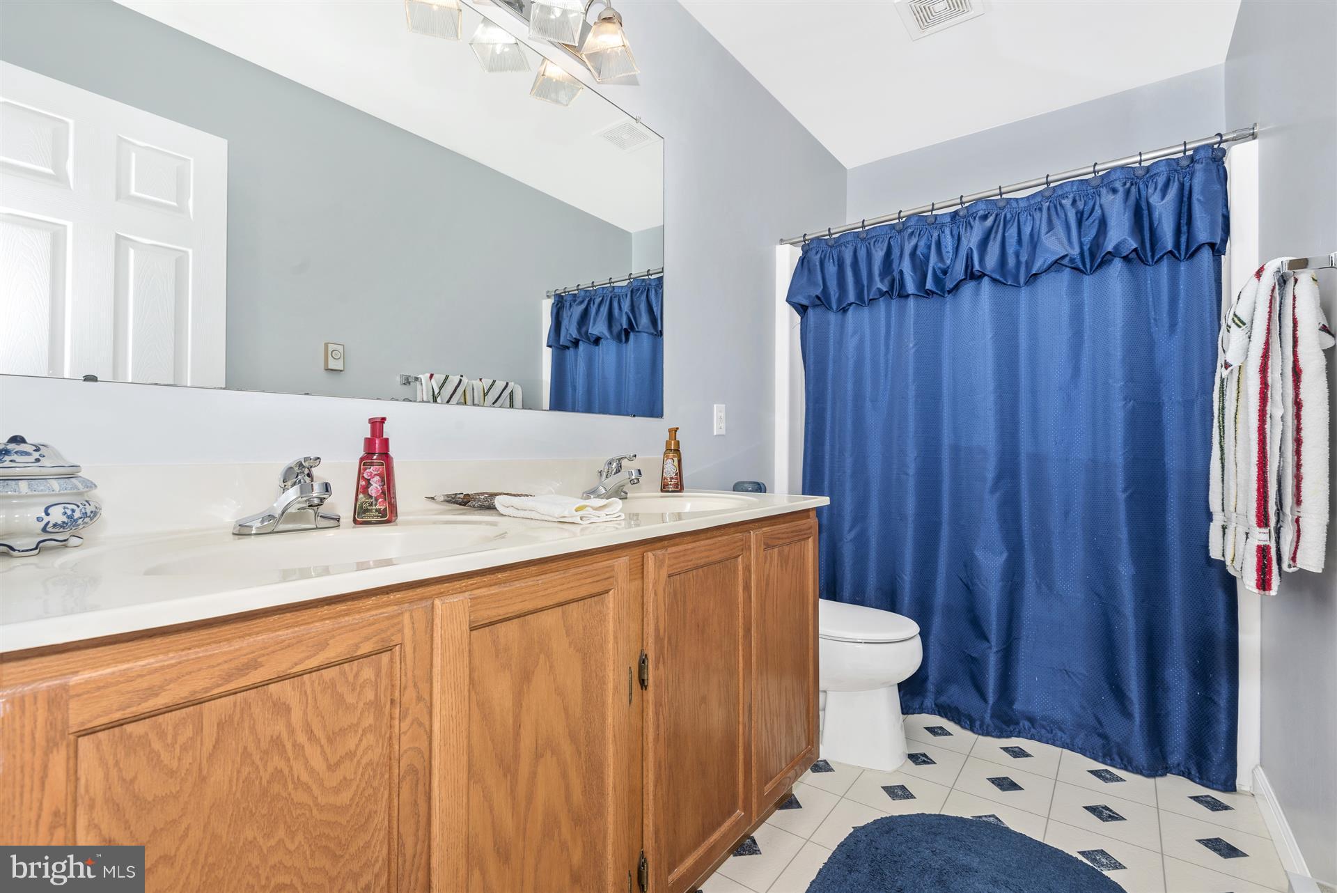 6733 Oakridge Road New Market, MD 21774 - Photo 22 of 30 Dual sink hall bath