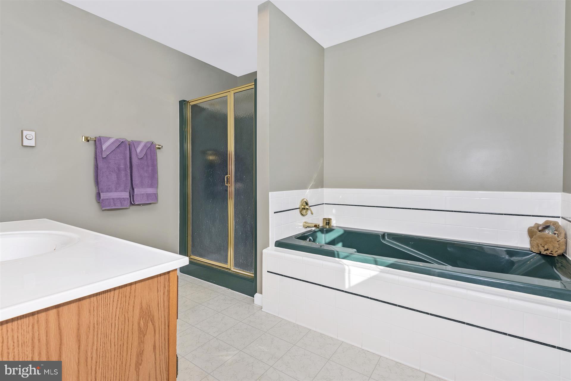 6733 Oakridge Road New Market, MD 21774 - Photo 25 of 30 Retreat to the soaking tub!