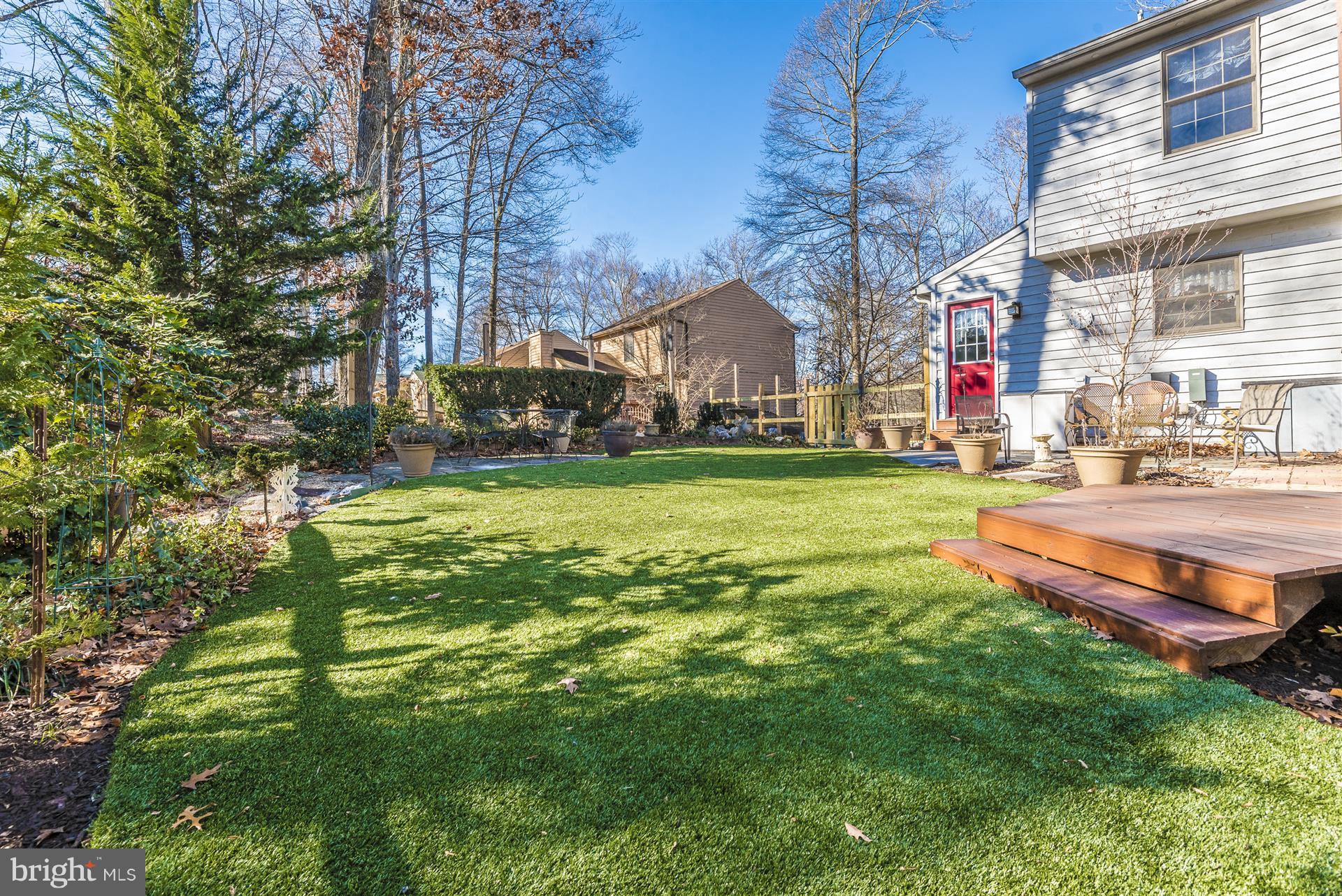 6733 Oakridge Road New Market, MD 21774 - Photo 6 of 30 Eco friendly all season lawn